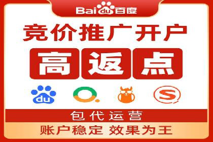 谷歌竞价案例：跨境电商广告投放策略